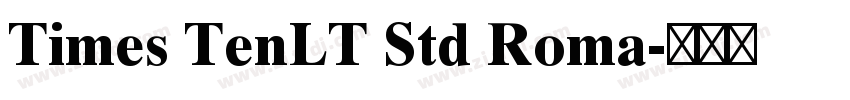 Times TenLT Std Roma字体转换
